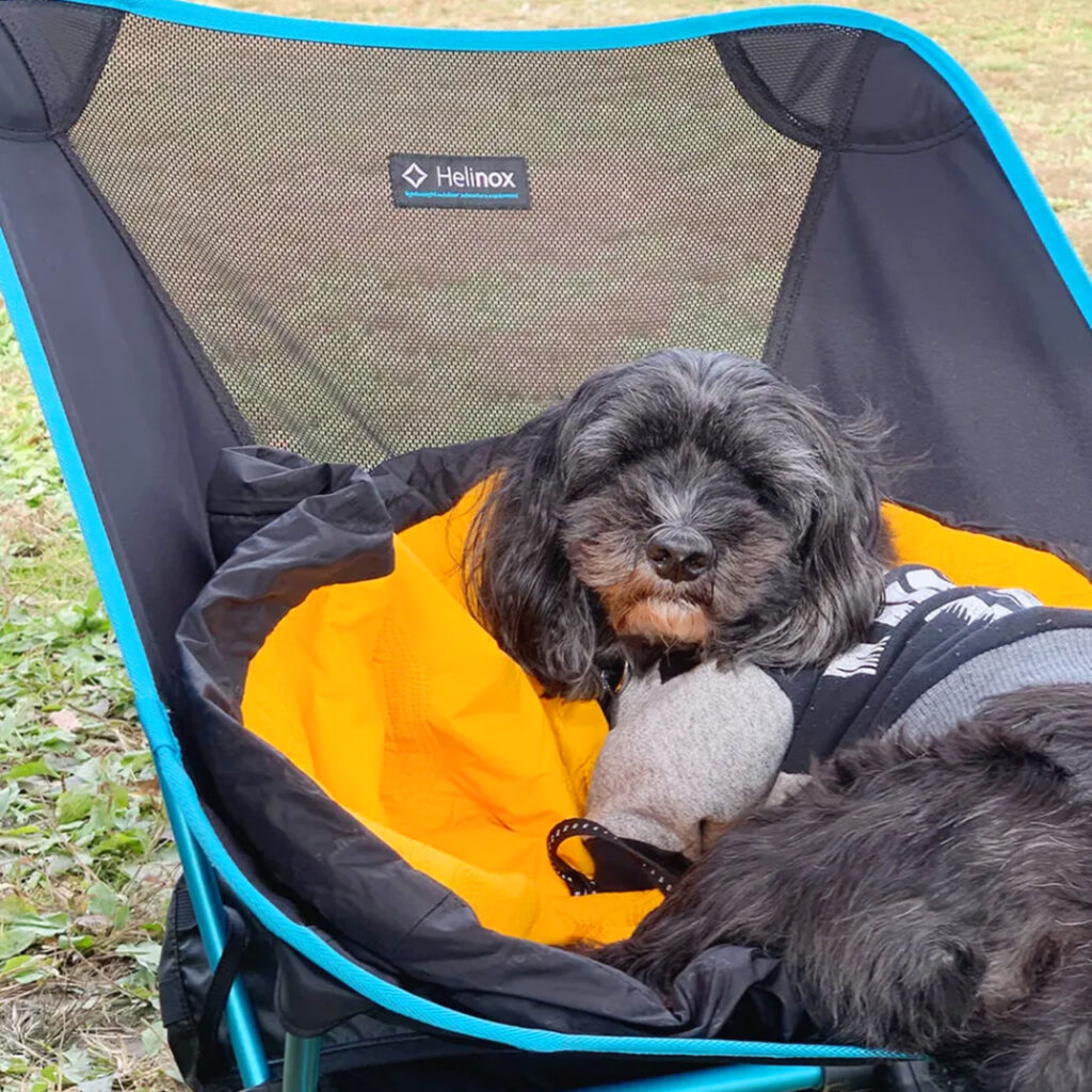 フルッタ (Hurtta) アウトバック ドリーマー のレビュー！寒がりなワンちゃんとのキャンプに最適な犬用寝袋！
