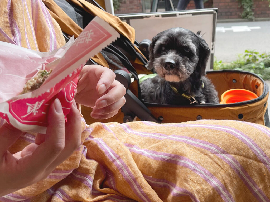 smooca（スモッカ） コンパクト ペットカート の使い勝手を写真付きでレビュー！愛犬と一緒に行ける場所が増えて大正解な買い物でした！