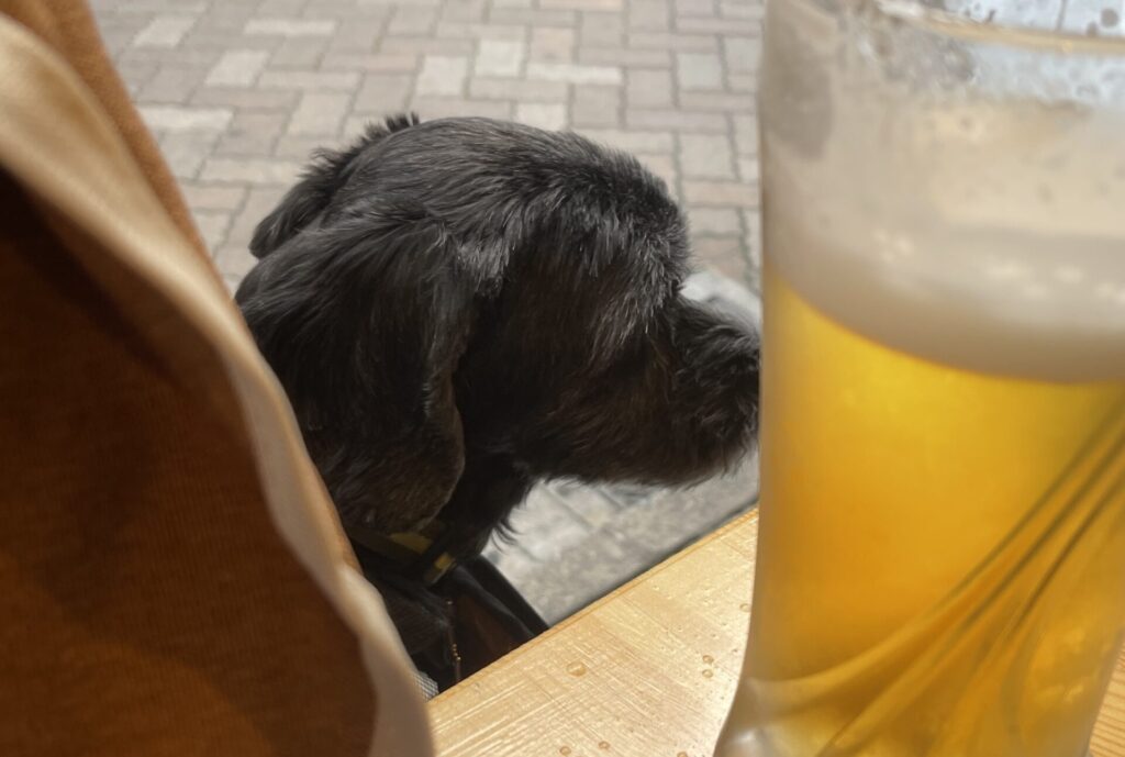 【もつ焼き・煮込み 吉祥寺はらわた】吉祥寺で愛犬と一緒に居酒屋で飲めるテラス席があります！