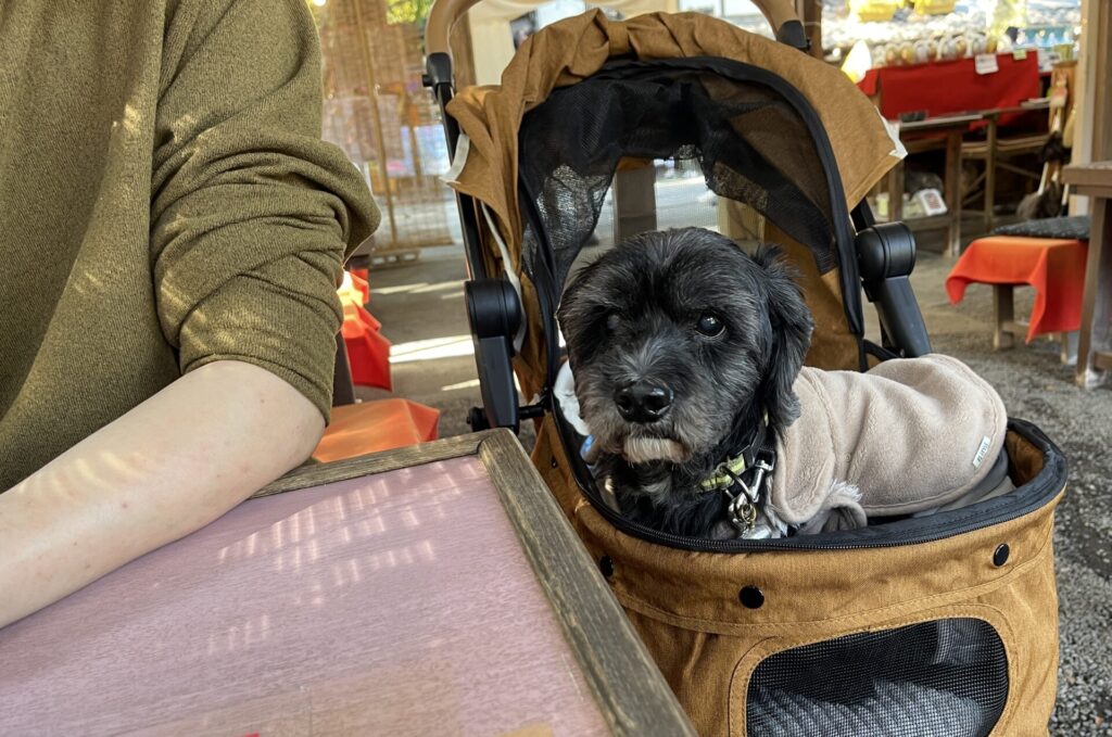 【深大寺 鈴や】は愛犬とそばを楽しめます！外席はペット可で駐車場もあります！